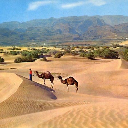 Donana 1109 Daire Patalavaca Dış mekan fotoğraf