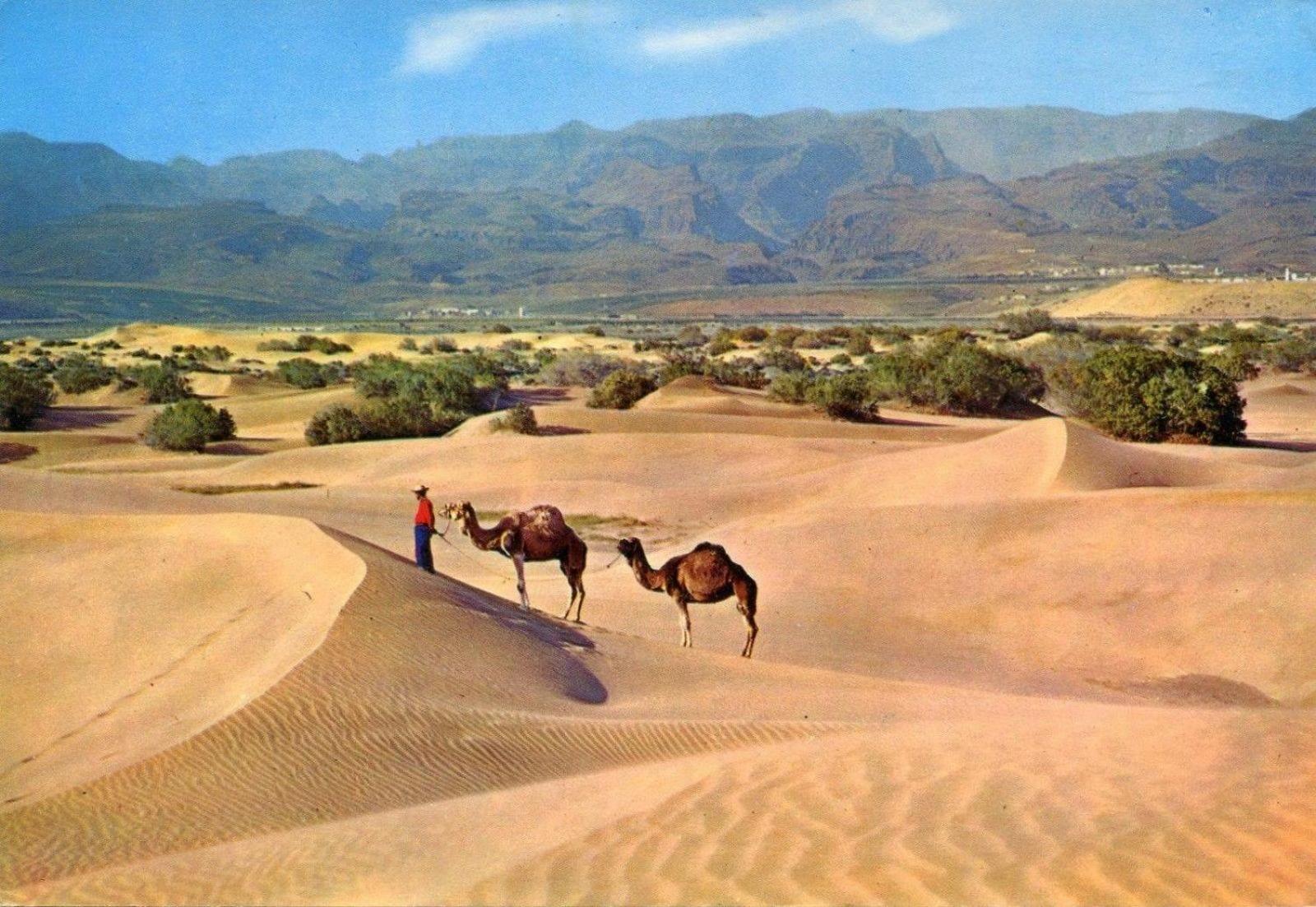 Donana 1109 Daire Patalavaca Dış mekan fotoğraf